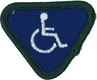 Disability Awareness Badge